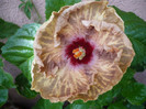 P1170158