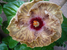 P1170159