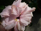 P1170163
