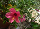 P1170164