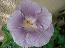 P1170166