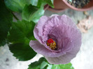 P1170168