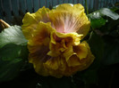 P1170172