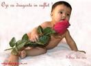 images (2)