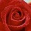 images (4)