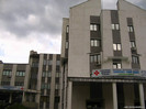 damon si stefan le duse imediat la spital