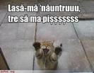 images (8)