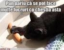 images (9)