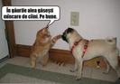 images (11)