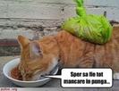 images (12)