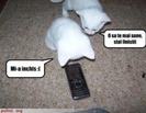 images (13)