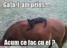images (16)