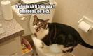 images (17)