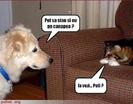 images (19)