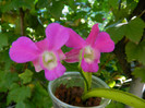 DSCN7919