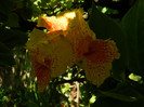 DSCN7931
