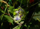 DSCN7942