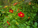 DSCN7946