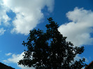 DSCN7952