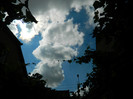 DSCN7955