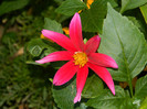 DSCN7957