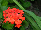 DSCN7958