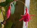 DSCN7976
