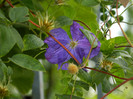 DSCN7987