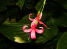 DSCN8028