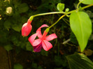 DSCN8029