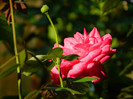 DSCN8030