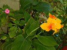 DSCN8034