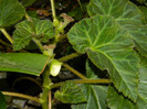 DSCN8040