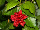 DSCN8041