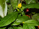 DSCN8042