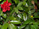 DSCN8043