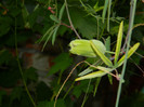DSCN8048