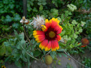 DSCN8049