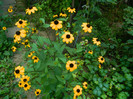 DSCN8052