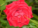 DSCN8055