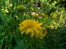 DSCN8056