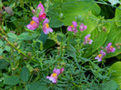DSCN8057