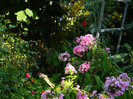 DSCN8065