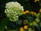 DSCN8069