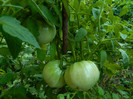 DSCN8076