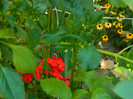 DSCN8079