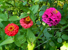 DSCN8081