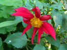 DSCN8082