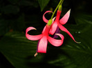DSCN8088