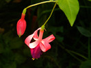 DSCN8089